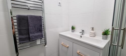 阿尔杰什河畔库尔泰亚Radu's Room的白色的浴室设有水槽和镜子