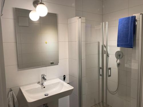 勒文斯泰因Ferienwohnung Gergert Nr6的浴室配有盥洗盆和带镜子的淋浴