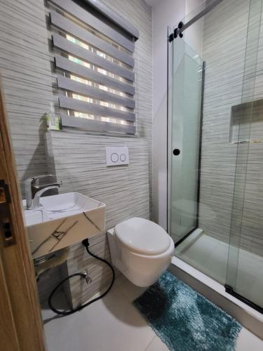 拉各斯Ikoyi/Banana Studio Room的浴室配有卫生间、淋浴和盥洗盆。