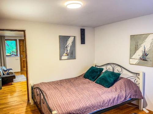 考纳斯Little house的一间卧室配有一张带两个绿色枕头的床
