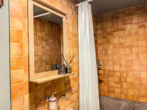 考纳斯Little house的设有带镜子和水槽的淋浴的浴室