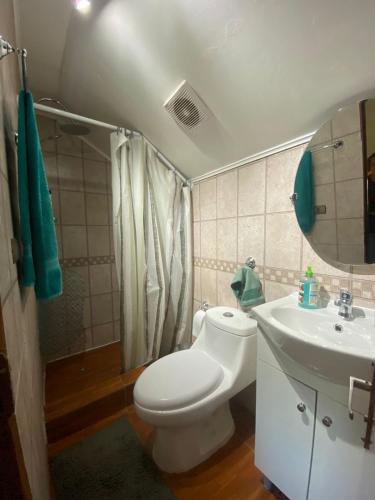 卡斯特鲁Calor y amor de hogar chilote的浴室配有白色卫生间和盥洗盆。