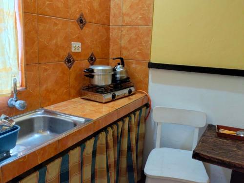 谢内吉亚区格林戈之家旅馆的厨房配有水槽和炉灶上的锅