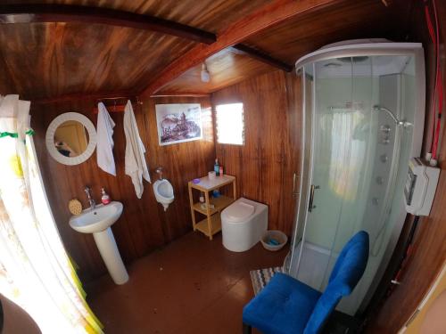 普诺Luna Titicaca Bungalows的享有带卫生间和淋浴的浴室的顶部景致。