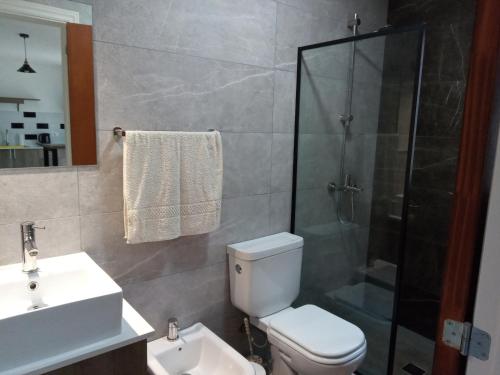 埃斯特角城NEco apartamentos Naturistas Nudistas Parejas o mujeres solas的带淋浴、卫生间和盥洗盆的浴室