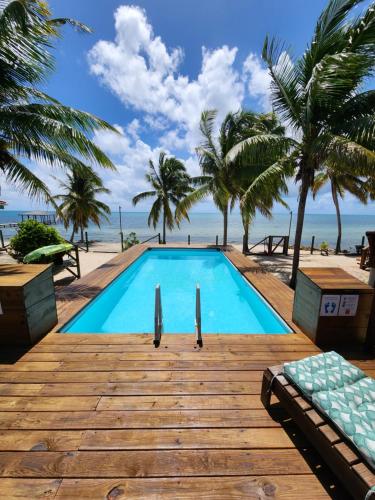 Seine Bight VillageCoco's Beachfront Cabanas的棕榈树海滩旁的游泳池