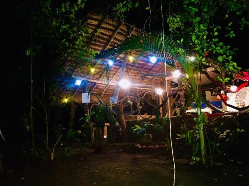锡吉里亚Sigiriya Rastha Hostel的夜晚在屋前有灯
