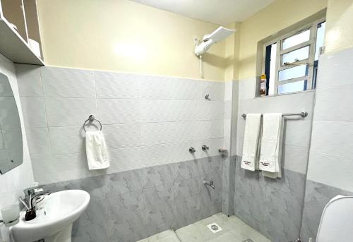 纳库鲁Naka Executive Suites With Balcony, Amazing Lake Nakuru View, GYM的白色的浴室设有水槽和卫生间。