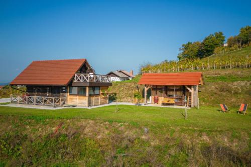 MirnaVineyard Cottage Grajska Kašča - Happy Rentals的山坡上一座带橙色屋顶的房子