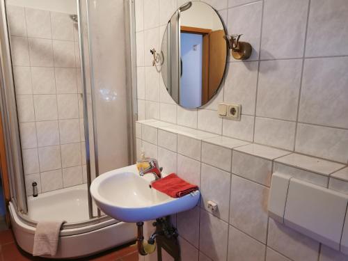 BommelsenBeekenhof Ferienwohnung für Monteure的一间带水槽、镜子和淋浴的浴室