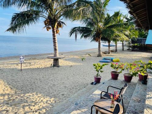 罗哈斯Mecaja Beach House的棕榈树海滩,桌椅