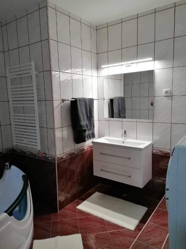 斯洛文尼亚比斯特里察Apartma Bistrica的浴室设有白色水槽和镜子