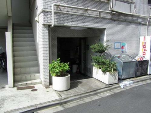 东京Shibuya Hana House的坐在建筑物前面的三株盆栽植物