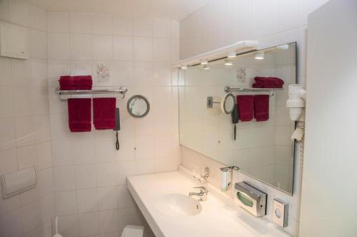 HarztorHotel und Restaurant Harzparadies的白色的浴室设有水槽和镜子