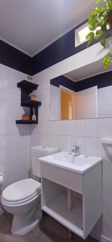 波特雷里约斯Esencia Cabaña的白色的浴室设有卫生间和水槽。