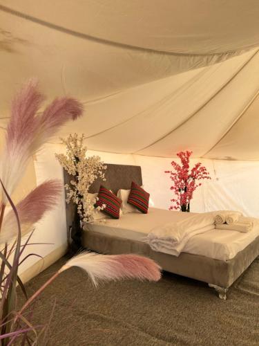 Dream Desert Camp的帐篷内一间卧室,配有一张床