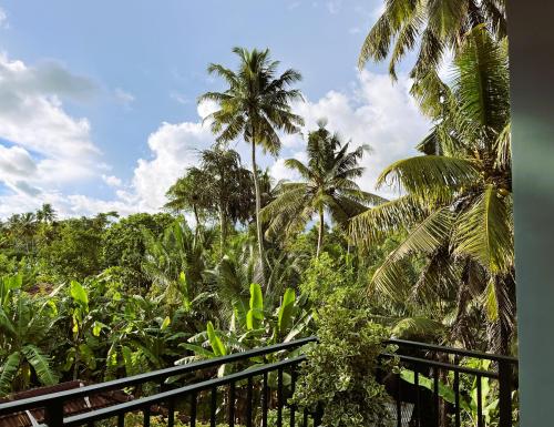 米迪加马东Coastal Hideaway的享有棕榈树丛林的景色