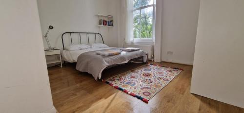 伦敦Primrose Hill - Charming, Cosy, 2 Double Bedrooms Apartment的一间卧室配有床、地毯和窗户