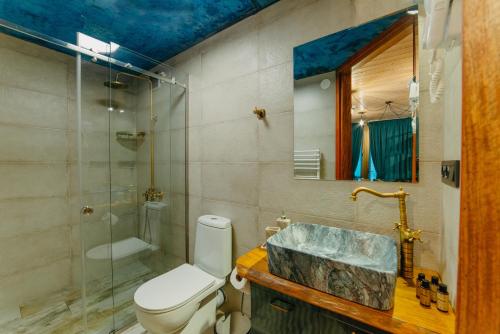 泰拉维wanderholic的一间带水槽、卫生间和淋浴的浴室