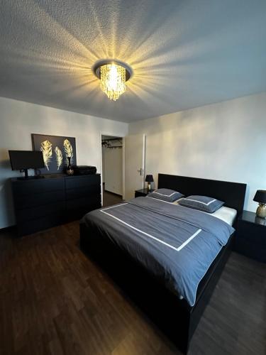 温特图尔Gemütliche möbilierte Wohnung in Winterthur的一间卧室配有一张大床和一个吊灯。