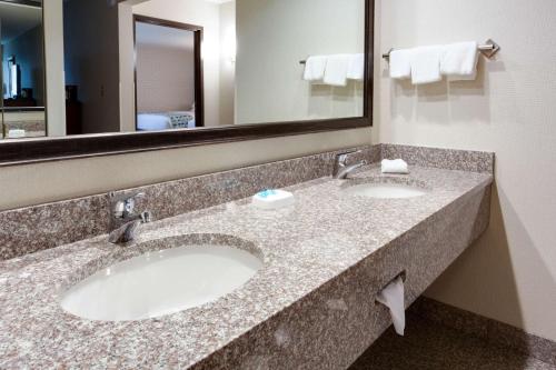 纳什维尔纳什维尔机场德鲁里套房酒店的一间带两个水槽和大镜子的酒店浴室