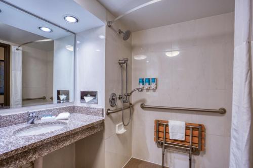 费尔维尤海茨特鲁里街圣路易斯 - 锦绣花园套房旅馆的一间带水槽和淋浴的浴室
