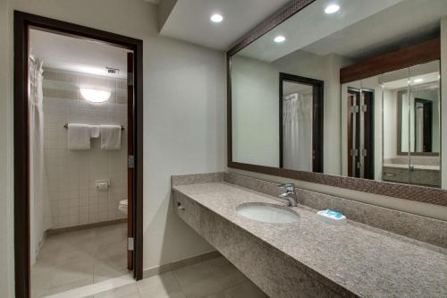 博林格林Drury Inn & Suites Bowling Green的一间带水槽和镜子的浴室