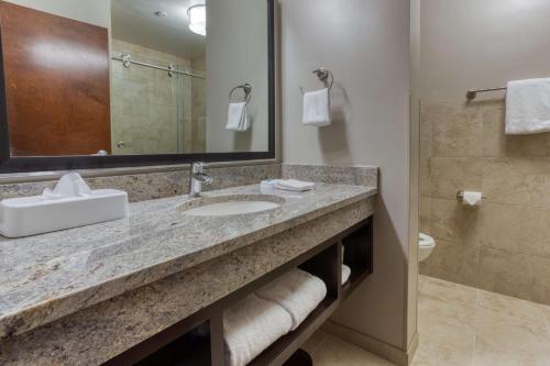 亨茨维尔Drury Inn & Suites Huntsville Space & Rocket Center的一间带水槽、镜子和卫生间的浴室