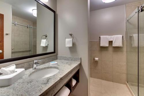 哥伦布Drury Inn & Suites Columbus Polaris的一间带水槽、镜子和淋浴的浴室