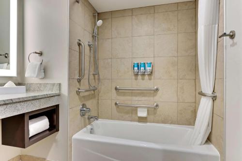圣保罗Drury Plaza Hotel St. Paul Downtown的浴室配有浴缸、淋浴和水槽