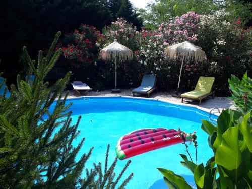 罗克莫尔havre de paix的一个带红色椅子和遮阳伞的游泳池