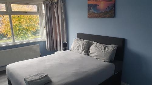 帕尔默斯格林Harington Homes的卧室内的一张床铺,卧室内有蓝色的墙壁
