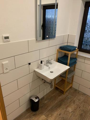 莱茵明斯特Eisenbahn的一间带水槽和镜子的浴室