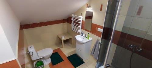 新松奇KEISA APARTRooms的一间带卫生间和淋浴的小浴室