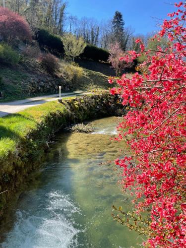波利尼杜穆林瓦雷欢乐酒店的一条小溪,在路边有粉红色的花朵
