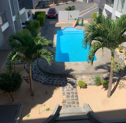 弗利康弗拉克Ibiza Apartment - 150m from the beach的享有棕榈树游泳池的顶部景致