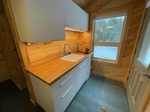 DuxburyCrossett Hill Lodge的一个带水槽和窗户的小厨房