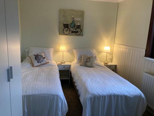 Wheddon CrossExmoor House的配有两盏灯的小房间内的两张床