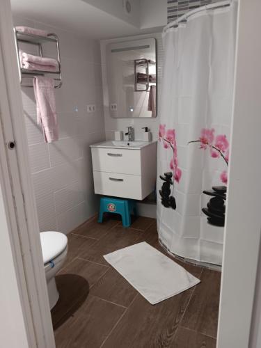 AloveraApartamento Triana的浴室配有卫生间、盥洗盆和淋浴。
