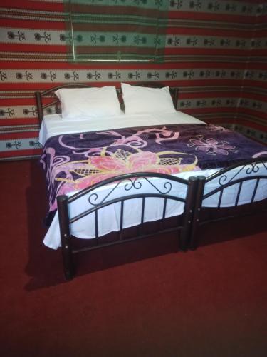 瓦迪拉姆Moon city camp的一张位于墙上的房间里的床