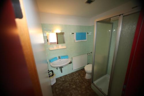Burbach贝赫特酒店的一间带水槽、卫生间和淋浴的浴室