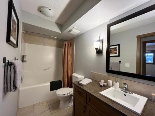 戴德曼斯弗莱斯Perfect family 2-bed Condo with hot tub的一间带水槽、卫生间和镜子的浴室