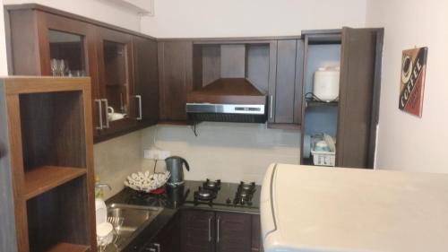 努沃勒埃利耶Nuwara eliya Luxury Apartment的厨房配有水槽和炉灶 顶部烤箱