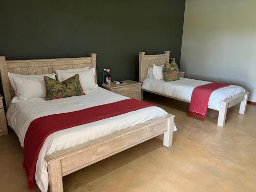 AugrabiesLake Grappa Guestfarm的卧室设有两张床铺和绿色的墙壁