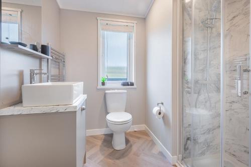 巴森斯韦特Oak Tree Timber Holiday Lodge的浴室配有卫生间、盥洗盆和淋浴。