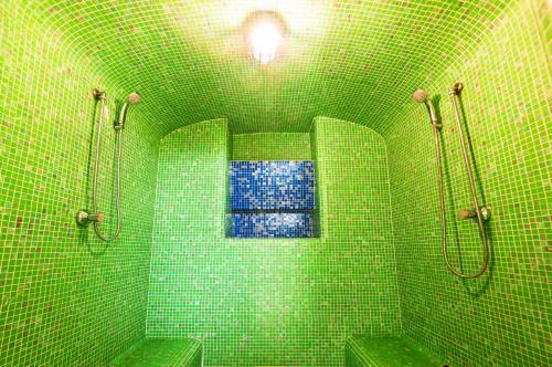 伊斯基亚波焦阿拉格斯特Spa酒店 的绿色瓷砖浴室设有2个卫生间和窗户