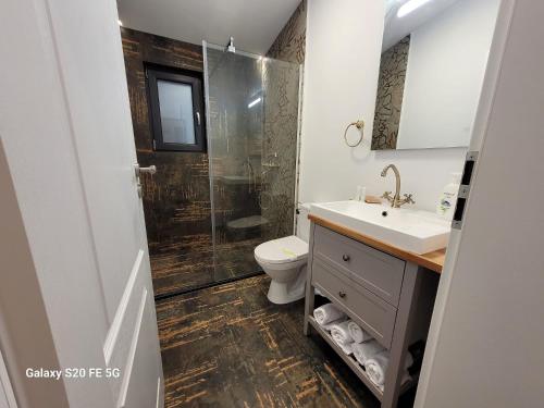 布什泰尼Chalet Amik的浴室配有卫生间、盥洗盆和淋浴。