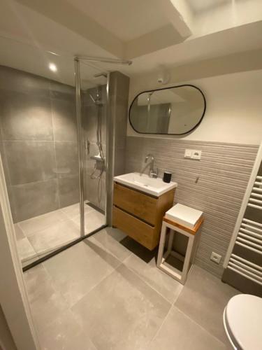 鹿特丹BLRK 285的带淋浴、盥洗盆和镜子的浴室