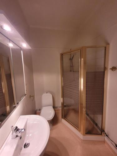 斯德哥尔摩Home Inn FKG110的浴室配有卫生间、淋浴和盥洗盆。