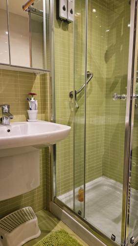巴约讷Apartamento Sabaris Playa的一间带玻璃淋浴和水槽的浴室